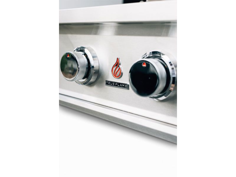 TrueFlame TFE Series stainless control knob and front panel detail