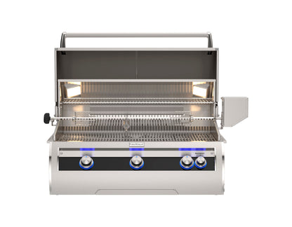 Fire Magic E790i analog built-in grill factory open hood interior